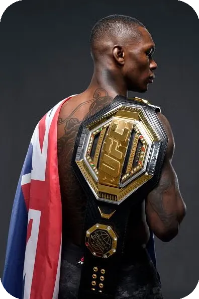 UFC Title Wins