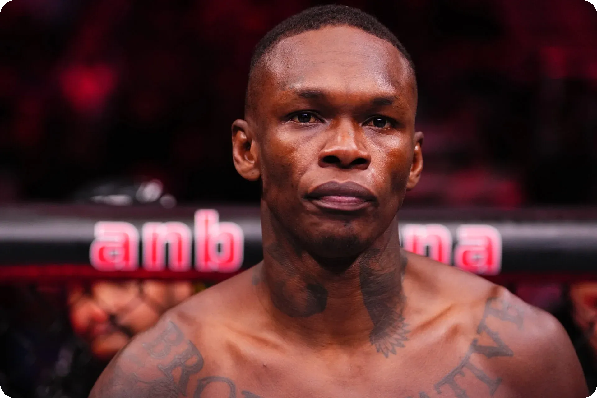 Transition from Kickboxing to MMA